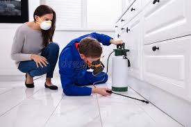 Best Residential Pest Control  in Hattiesburg, MS